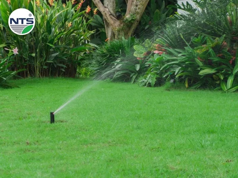 Hệ thống tưới tự động biệt thự An Phú quận 2