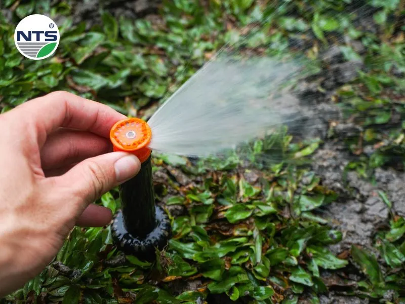 Hệ thống tưới tự động biệt thự An Phú quận 2