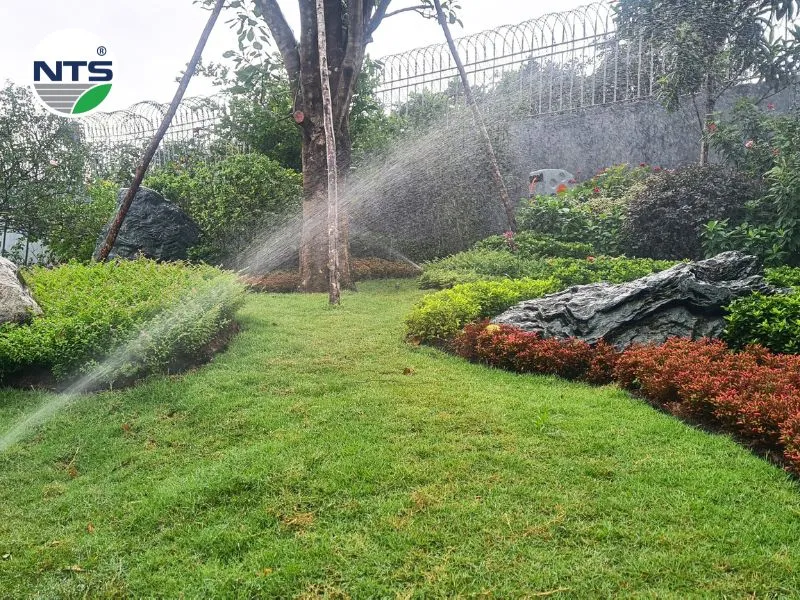 Hệ thống tưới tự động biệt thự An Phú quận 2
