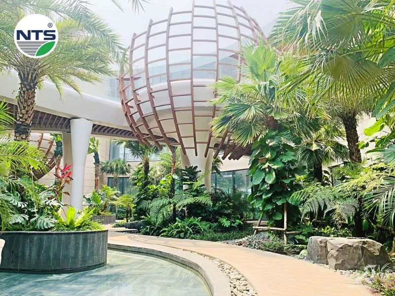 Hình ảnh NTS thiết kế tưới tự động và phun nước giúp cảnh quan được duy trì vẻ đẹp xanh tưới và tăng thêm giá trị cho dự án