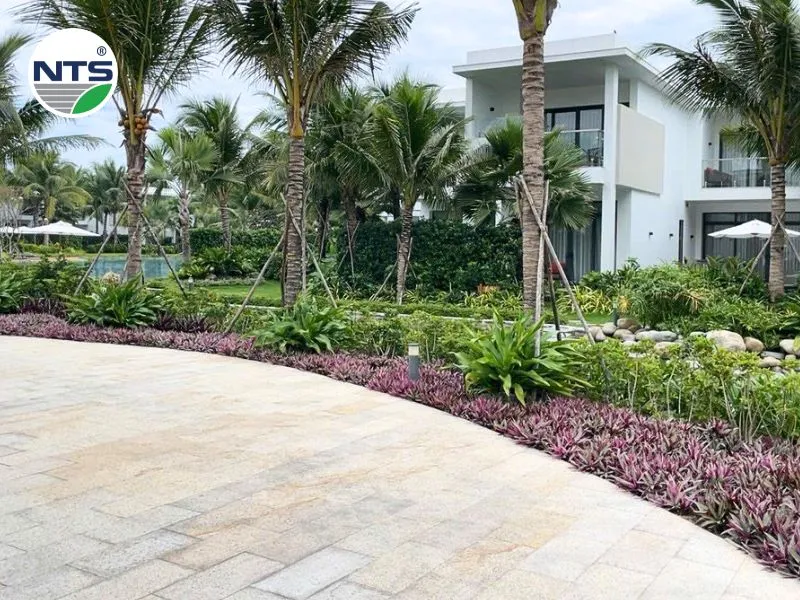 hệ thống tưới tự động tại Madison Hồ Tràm