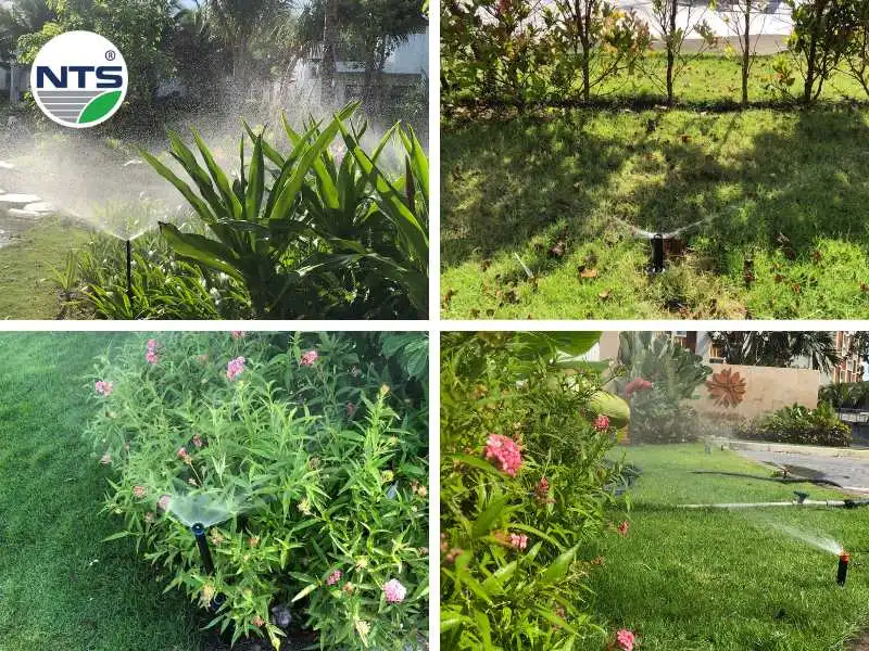 Hình ảnh hệ thống tưới cây tự động Madison Hồ Tràm với các béc tưới khác nhau đang hoạt động