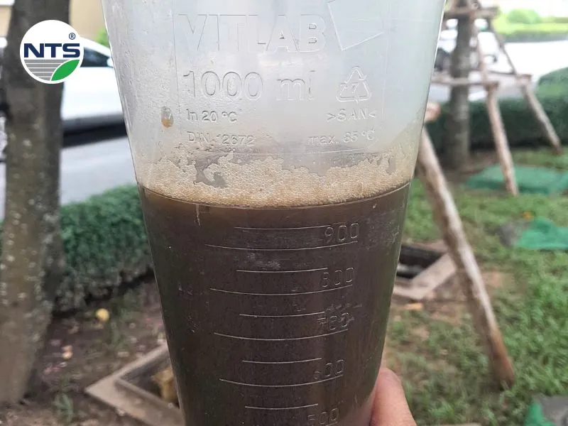 Biểu hiện Bùn vi sinh non Biểu hiện Bùn vi sinh non