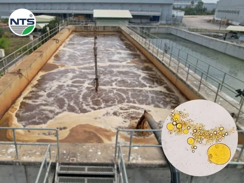 Image of using liquid microorganisms to treat grease in wastewater
