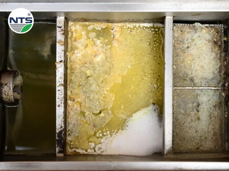 Image of grease treatment in wastewater using grease trap