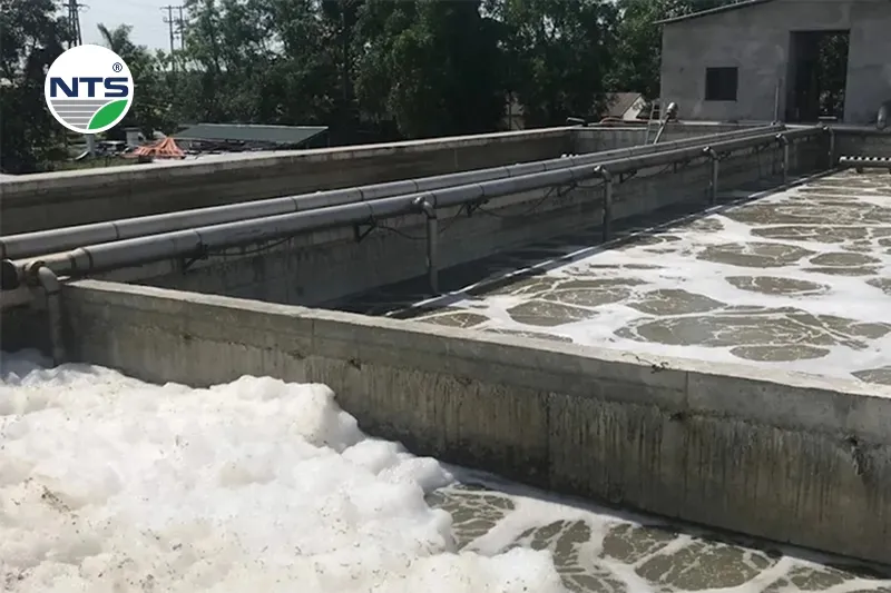 Chẩn đoán và điều trị sự cố bọt bể Aerotank Chẩn đoán và điều trị sự cố bọt bể Aerotank