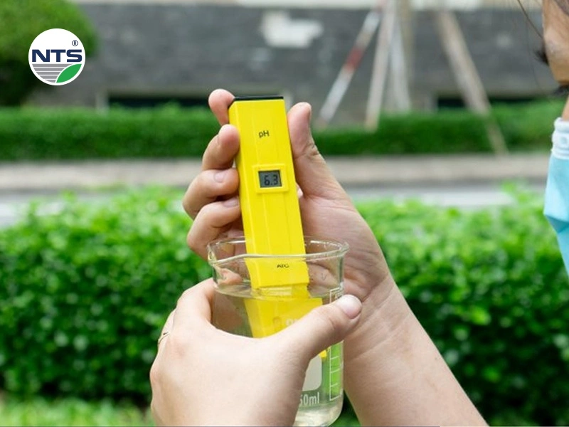 Các mẹo quan sát biết ngay chất lượng nước thải sau xử lý