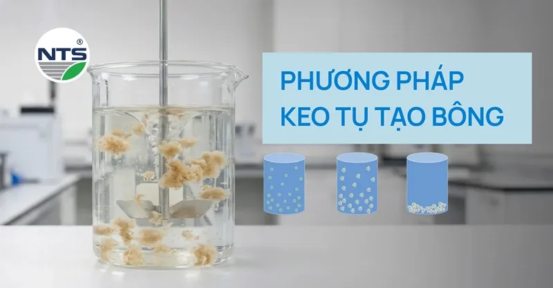 Tìm hiểu về keo tụ và tạo bông