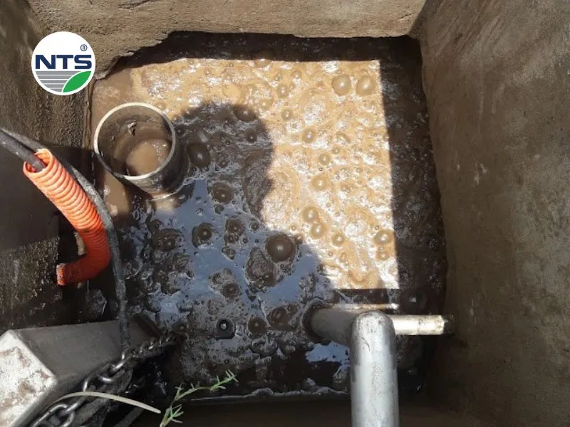 Bể Anoxic gặp sự cố bùn nổi dày đặc