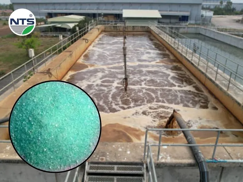 Coagulant chemicals, Ferric Sulphate has turquoise color