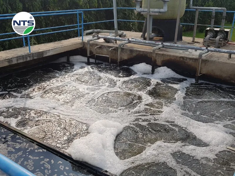 Sự cố thường gặp ở bể điều hòa trong hệ thống xử lý nước thải