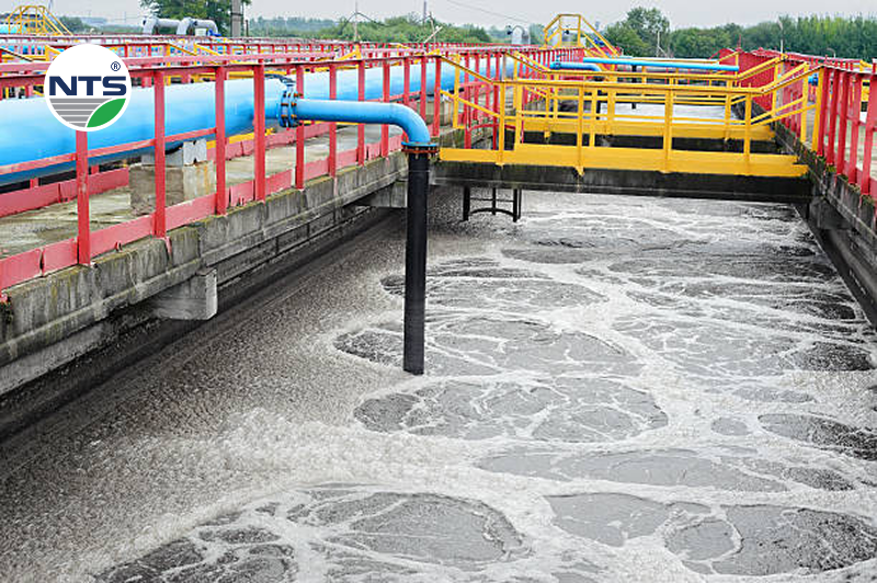 Tại bể lắng có chất độc làm cho bông bùn nổi lên trên Tại bể lắng có chất độc làm cho bông bùn nổi lên trên