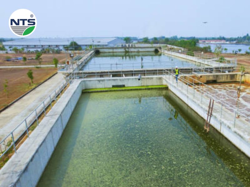 Hình ảnh hồ sinh học dùng để xử lý nước thải được xây dựng nhân tạo