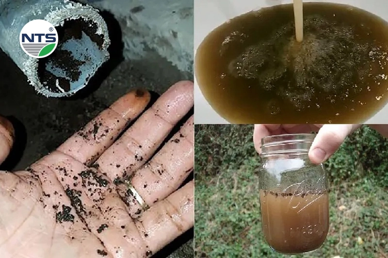 Giải pháp lọc sắt, mangan từ NTS