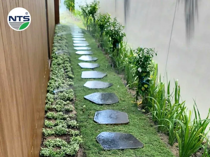 NTS thi công hệ thống tưới tự động Sanctuary Hồ Tràm