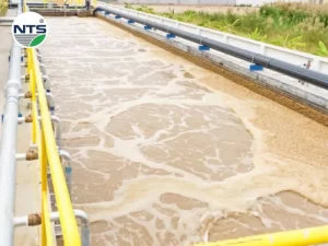 Hình ảnh bể keo tụ tạo bông trong xử lý nước thải công nghiệp