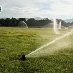 Hình ảnh Thiết bị tưới cảnh quan với các béc phun mưa rotor đang tưới cỏ