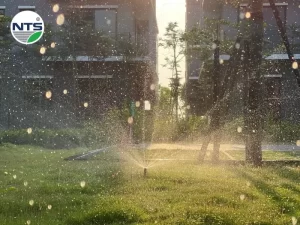 Hình ảnh Thiết bị tưới cảnh quan với béc tưới phun múa của Rainbird
