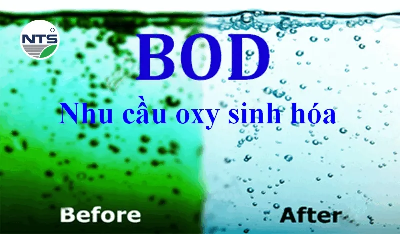 Tỷ lệ BOD/COD trung bình ở một số ngành công nghiệp