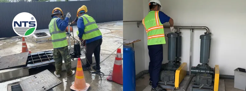 NTS Engineering tư vấn giải pháp đấu thầu