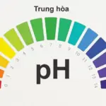 Tìm hiểu pH trong nước thải là gì?