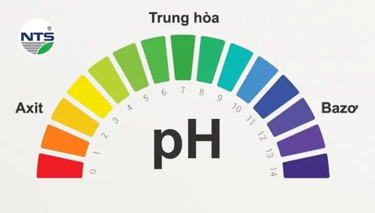 Tìm hiểu pH trong nước thải là gì?