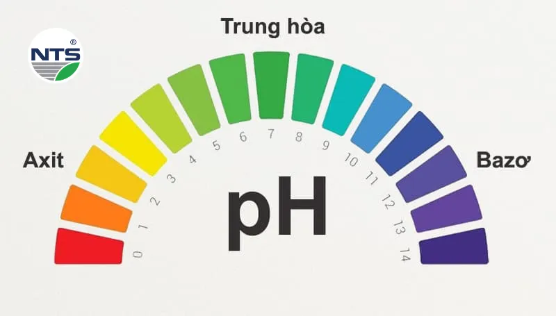 Tìm hiểu pH trong nước thải là gì?